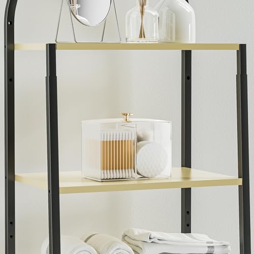 Oasiteege Clear Plastic 3 Slots Q Tip Holder with Lid & Non-slip Base