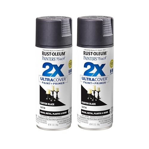 Rust-Oleum Painter's Touch 2X Satin Canyon Black Spray Paint (12 Oz, 2 Pack)