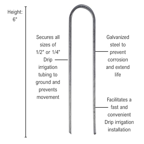 Rain Bird GS50 Galvanized Wire Stake for 1/2" Drip Tubing - 10-Pack