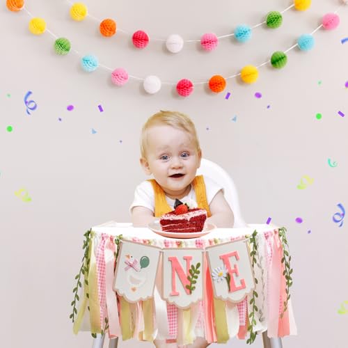 Silly Goose High Chair Banner for Baby Girl's 1st Birthday - Pink & Gold