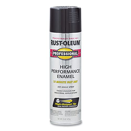 Rust-Oleum Professional Gloss Black Spray Paint - 15 oz