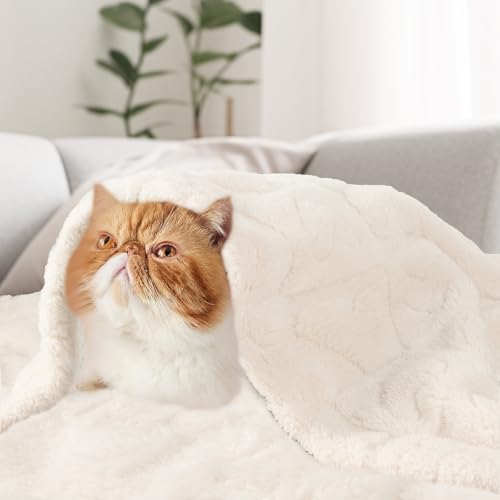 MACEVIA Heart Pattern Throw Blanket, Soft Fuzzy Fleece for Couch, Beige 50x60
