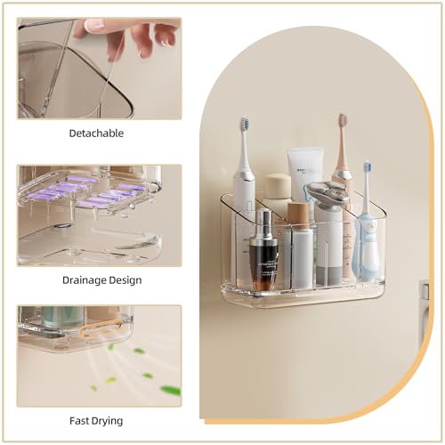 Zayin Wall Mounted Toothbrush Holder with Drainage & Adhesive Mount