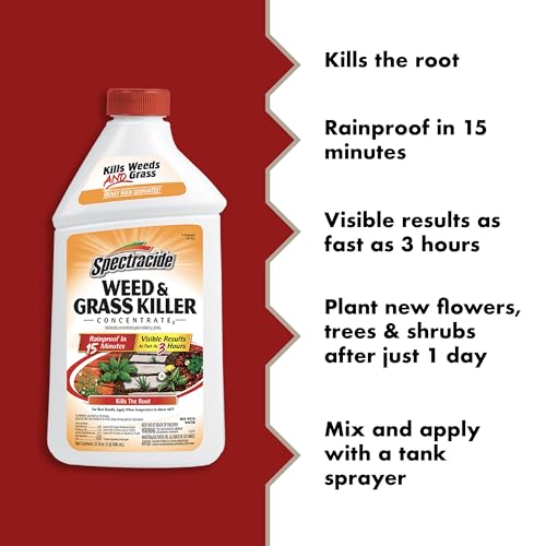 Spectracide Weed & Grass Killer Concentrate - 40 Oz for Driveways