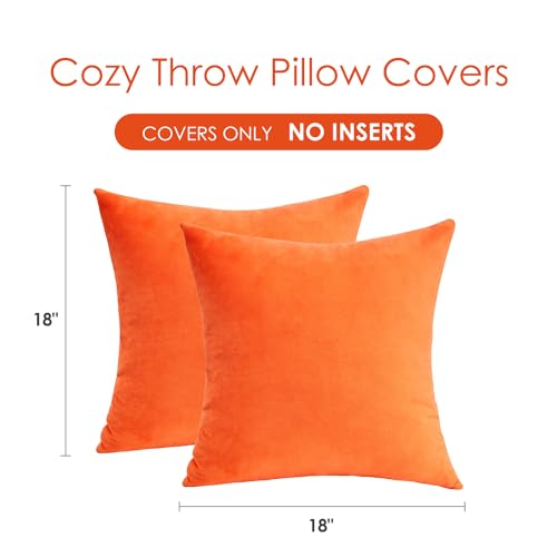 Bright Orange Fall Velvet Throw Pillow Covers Set of 2 18x18 Inches - Farmhouse Boho Decor