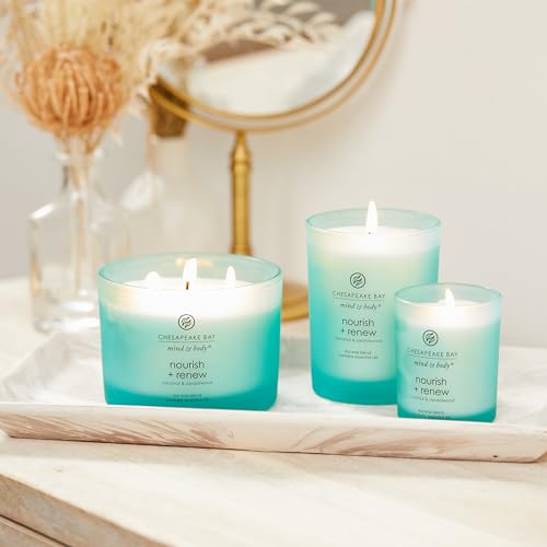 Chesapeake Bay Candle 11oz Nourish + Renew Candle - Coconut & Sandalwood (Pack of 4)