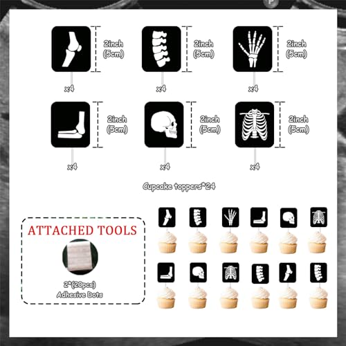 24Pcs Radiology Cupcake Toppers Double Sided X-Ray Tech Graduation Decor