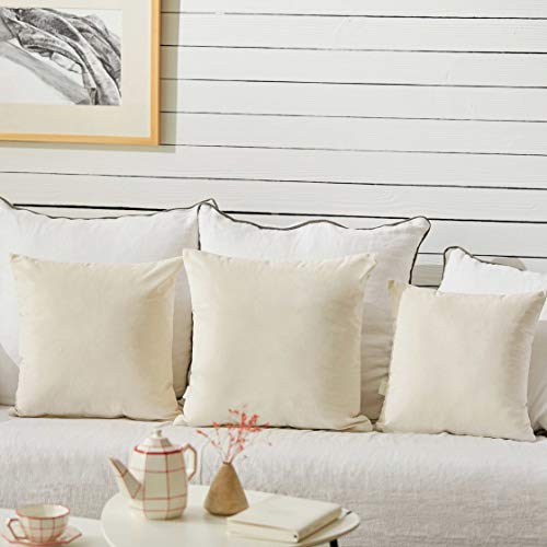 Pack of 2 White Velvet Throw Pillow Covers 18x18 Inch for Sofa