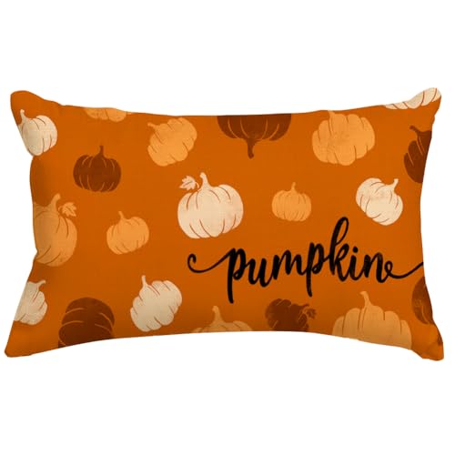 RABUSOFA Rust Orange Pumpkin Lumbar Pillow Cover, 12x20 Inch Fall Decor