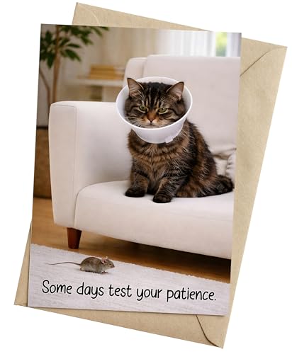 Funny Get Well Soon Card - Grumpy Cat Design, 5x7 with Envelope