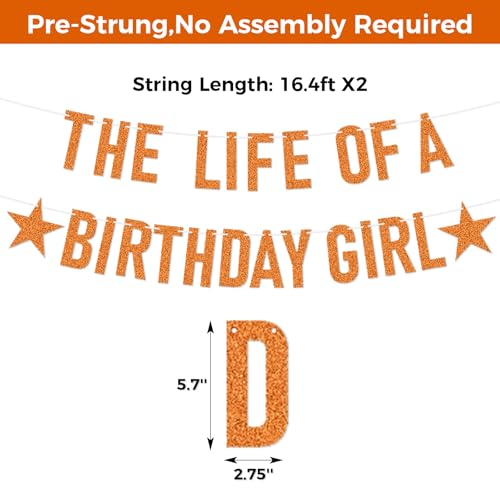 Life of a Birthday Girl Party Decor Banner - Showgirl Theme