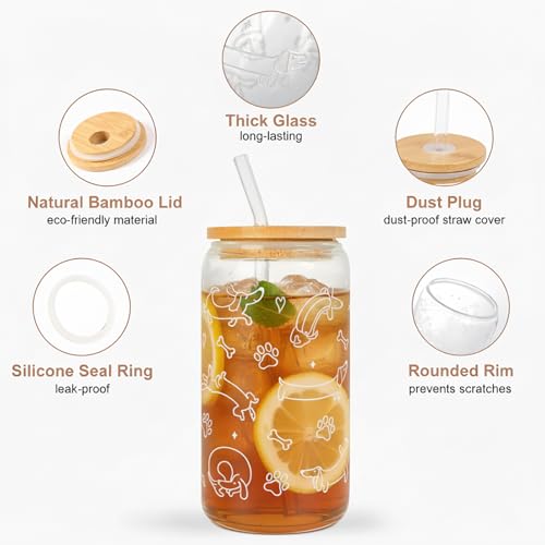 Dachshund Glass Cup with Lid & Straw - Dog Lover Gift, 16oz
