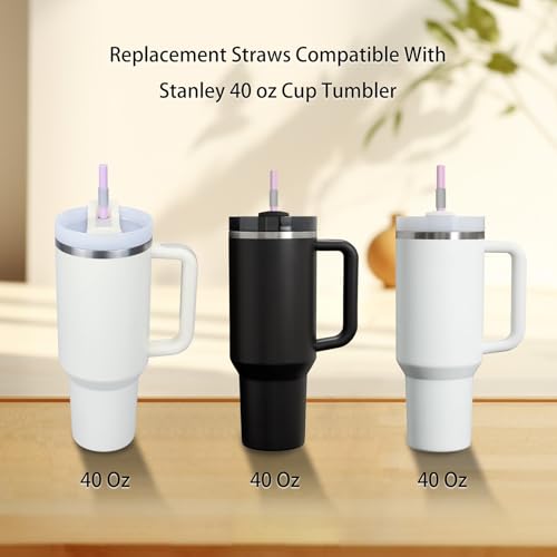 Replacement Straws for Simple Modern 40 oz Tumbler - 6 Pack