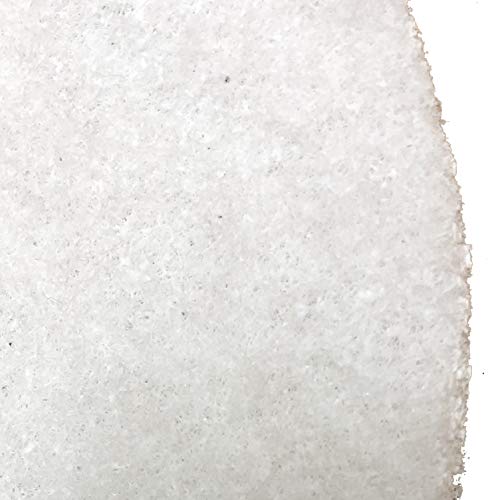 Bissell BigGreen Commercial 12-Inch White Polish Pad for BGEM9000 Floor Machine - Pack of 1