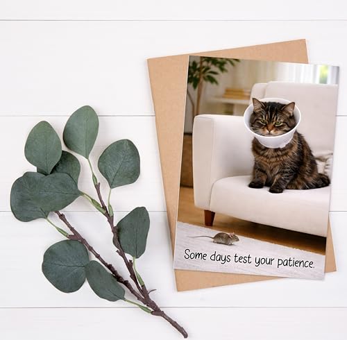 Funny Get Well Soon Card - Grumpy Cat Design, 5x7 with Envelope