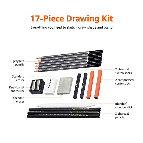 Amazon Basics 17-Piece Sketch and Drawing Art Supply Kit, Charcoal Set