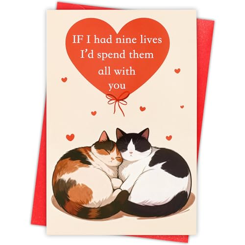 Valentine's Cat Greeting Card with Red Envelope - 8x5.3 inches