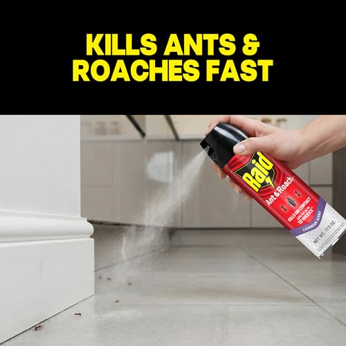 Raid Ant & Roach Killer Spray Lavender Scent 17.5 oz - Residual Insect Control
