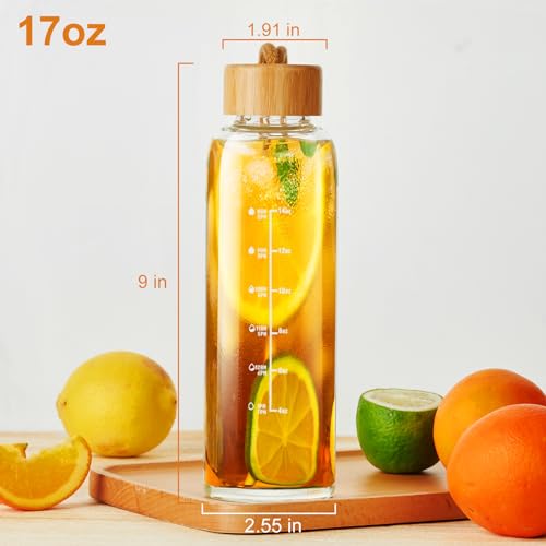 Doseno 17oz Borosilicate Glass Water Bottle with Time Marker & Carrying Strap