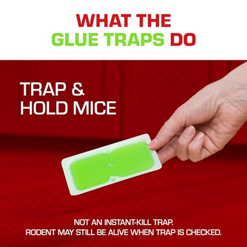 Tomcat Super Hold Mouse Glue Traps, Ready-to-Use Pest Control (48 Pack)