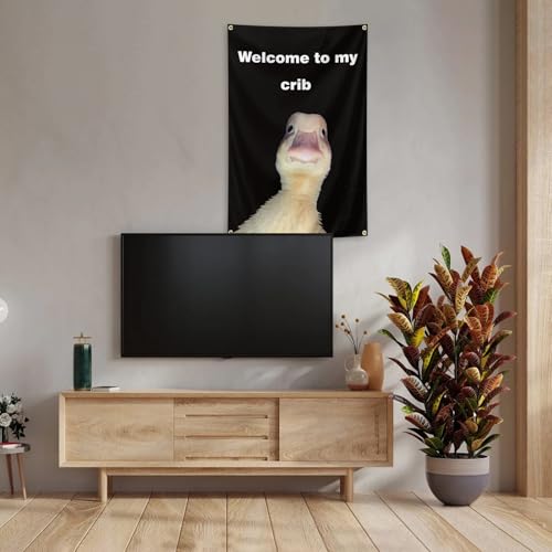Funny Dorm Room Flag 2x3 Feet with Brass Grommets Indoor Outdoor Wall Decor
