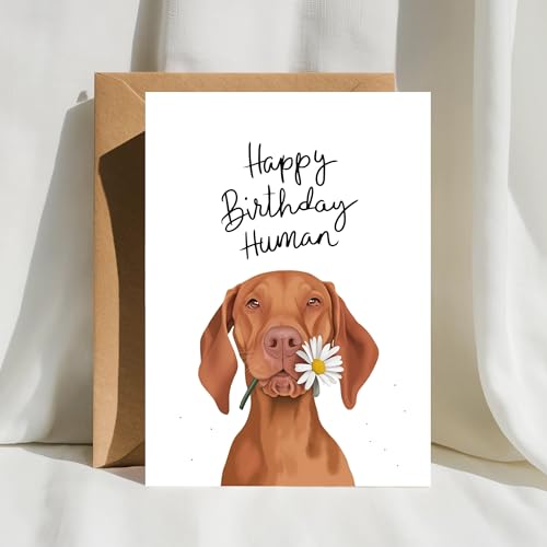 Hungarian Vizsla Birthday Card - Funny Dog Lover Card