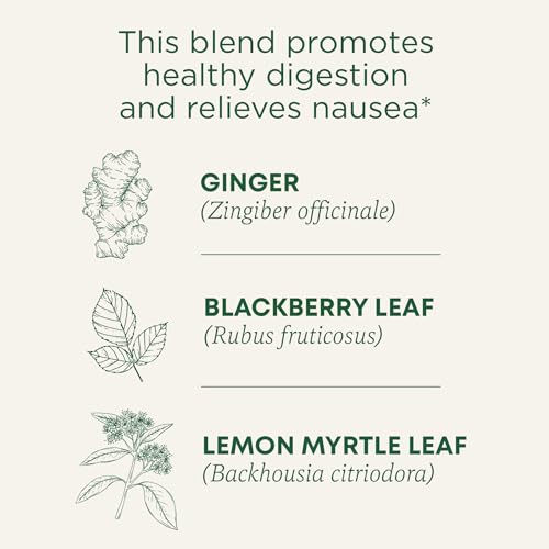 Organic Ginger Aid Tea - 16 Count - Digestive Support