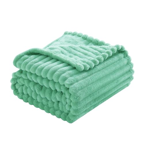 Mint Green Fleece Throw Blanket 50"x60" for Couch & Sofa