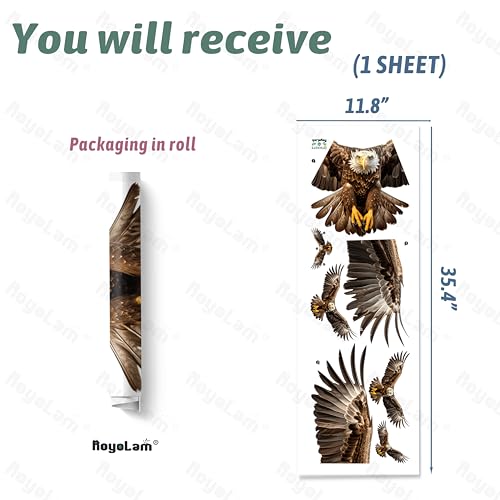 Bald Eagle Wall Decal - Removable Animal Wall Sticker by RoyoLam