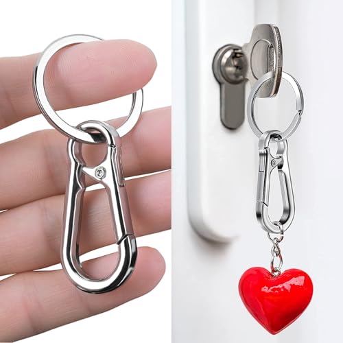 10 Packs Metal Keychain Carabiner Clip, Stainless Steel Heavy Duty Key Chain, Keyring Key Ring Chain Clips Hook Holder Key Organizer for Men Women,Silver