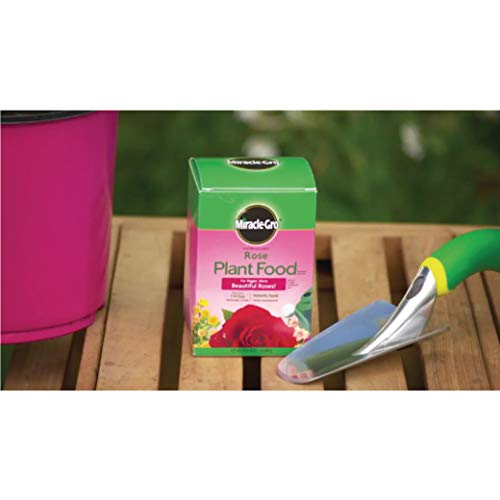Miracle-Gro Water Soluble Rose Plant Food 1.5 lb. (2-Pack) for Boosting Bloom Size