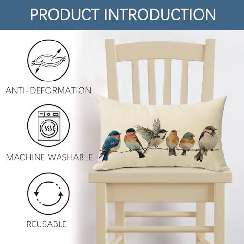 Farmhouse Birds Decorative Throw Pillow Cover - 12x20