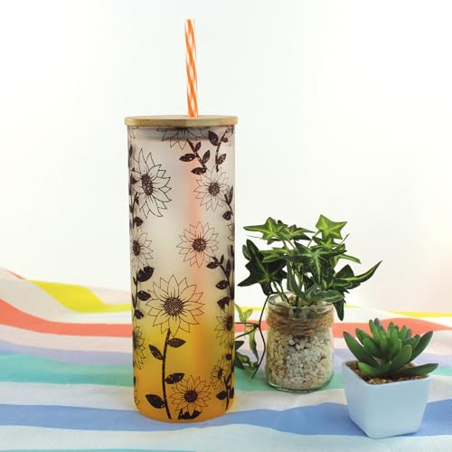 Hogg 24-Pack Reusable Straws - Daydream, 11 inch, BPA Free