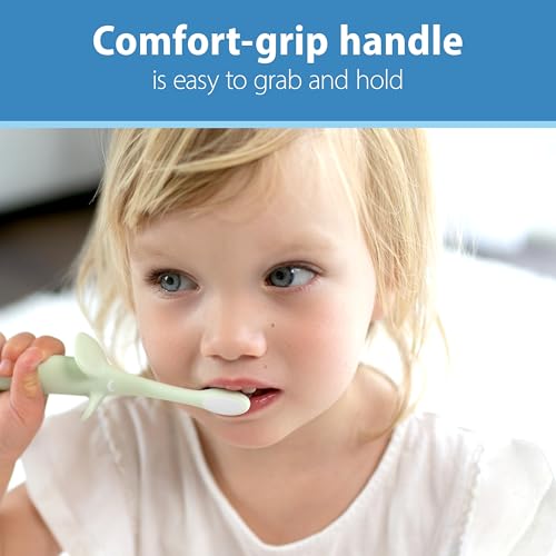 Dr. Brown's Infant-to-Toddler Elephant Toothbrush, Mint - 12 Pack