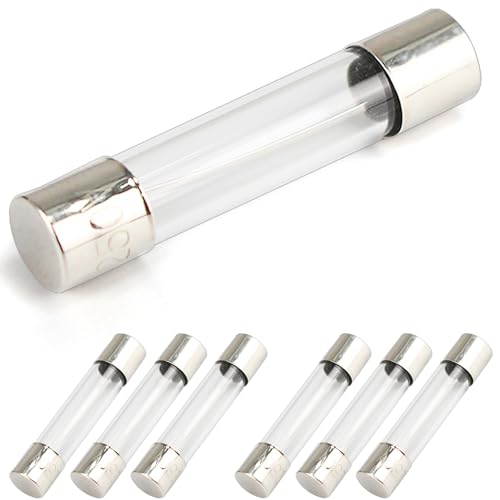 20A 250V Microwave Fuse - 6 Pack Fast-Blow Glass Fuses