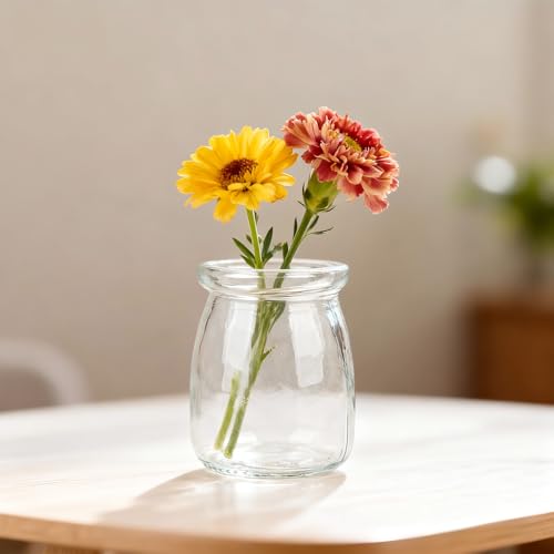 Small Decorative Glass Bottles with Cork Lids for Crafts