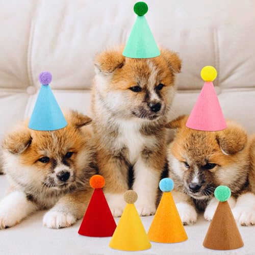 10 Pcs Colorful Mini Party Hats for Stuffed Animals and Pets