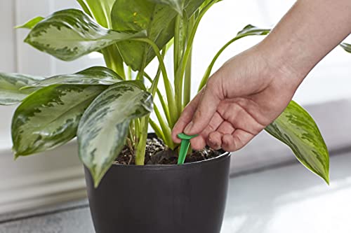 Miracle-Gro Indoor Plant Food Spikes - Slow-Release Fertilizer, 24 Count