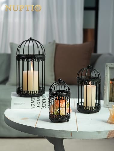 NUPTIO Vintage Bird Cage Candle Holder, 6-Inch Black Metal Lantern (2-Pack)