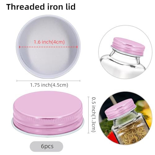 6 Pcs Iron Spice Jar Lids Airtight Replacement Caps for 4 oz and 6 oz Jars