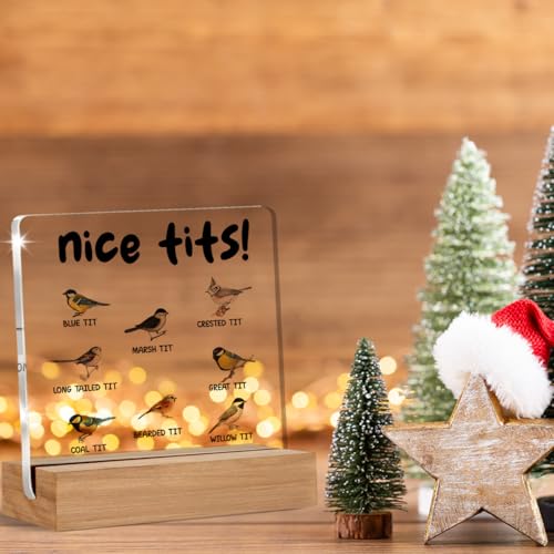 Funny Acrylic Sign for Bird Lovers - 4x4 Inch Desk Decor