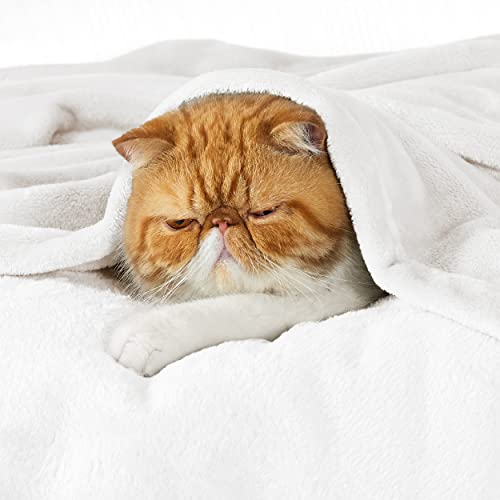 Bedsure GentleSoft Fleece Blanket California King White - Soft & Cozy 102x96