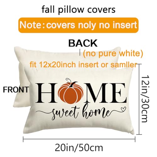 RABUSOFA Fall Pumpkin Lumbar Pillow Cover 12x20 Inch, Beige Autumn Decor