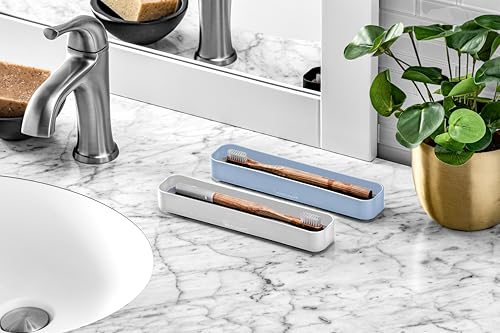 madesmart Blue Drying Stone Toothbrush Tray - Hygienic & Space-Saving