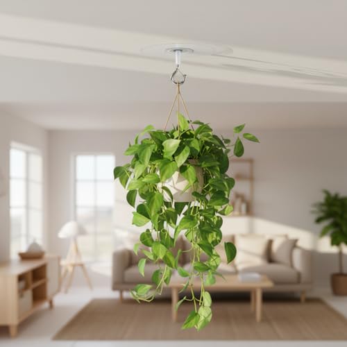 Silver Adhesive Ceiling Hook - Weight-Bearing, Drill-Free Hanging