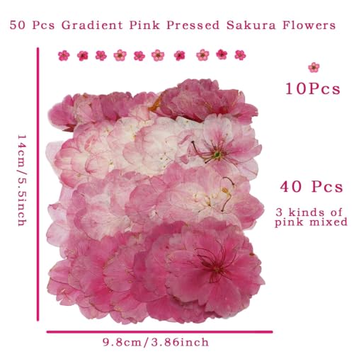 50PCS Pink Flower Cake Decorations - Natural Sakura Toppers