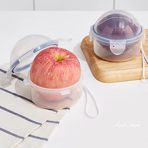 Produce Saver Container for Fridge – Airtight Onion, Tomato & Fruit Holder