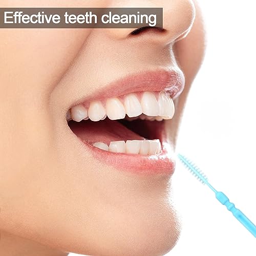 Medsuo Double Head Plastic Dental Toothpicks and Interdental Brushes 100 Pack