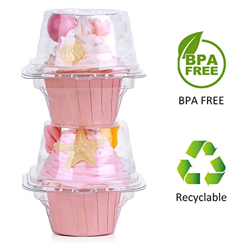 Individual Cupcake Boxes - 50 Pack, 24 Cubic Inches, Round