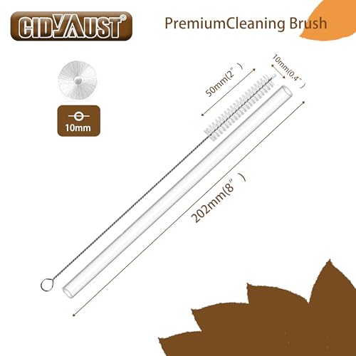 10-Piece Stainless Steel Straw Cleaner Brush Set for Baby Bottles & Stanley Cups